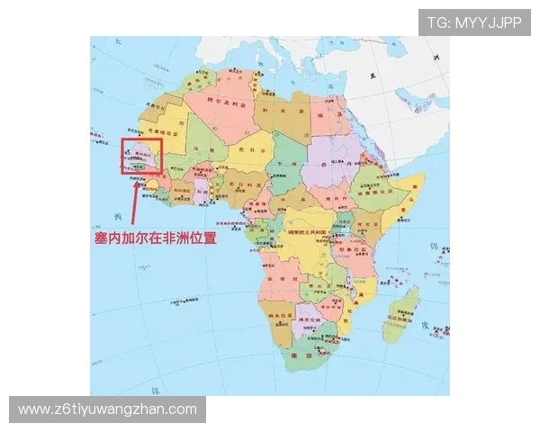 世界杯法国塞内加尔比赛前景分析：赛果预测、战术布局与比赛看点
